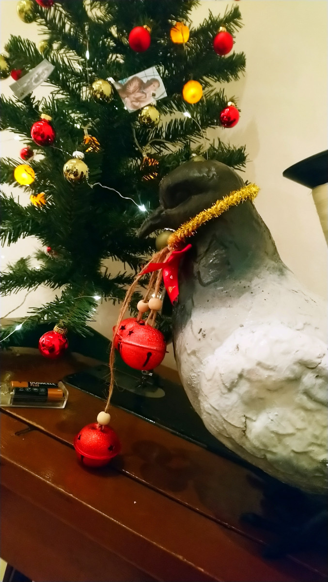 Piccione di Natale2.JPG